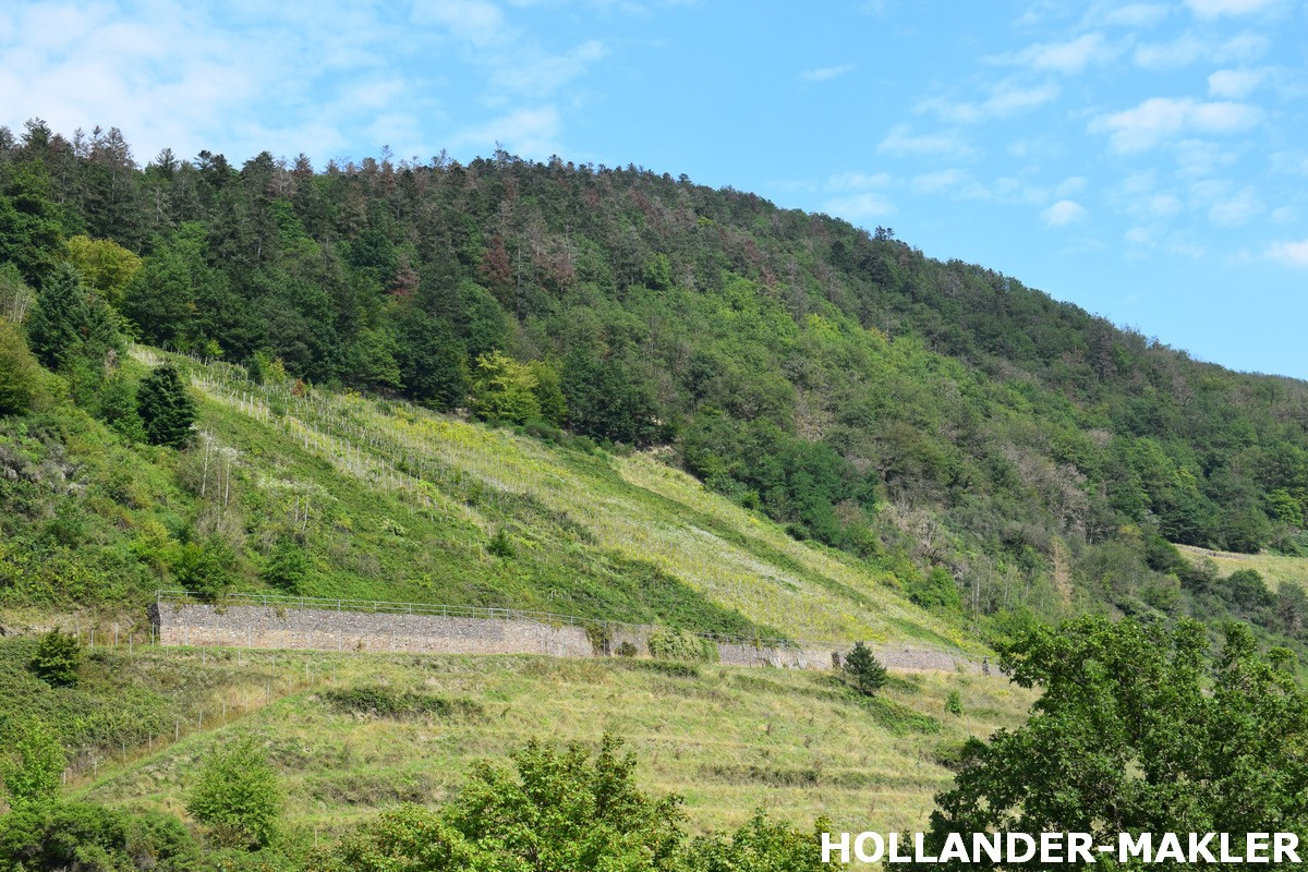 Solide vrijstaand huis met dubbele garage in Zell (Mosel)